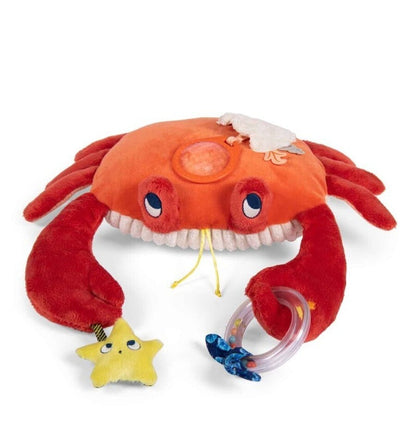 Hanging Activity Crab - Paulie's Adventures
