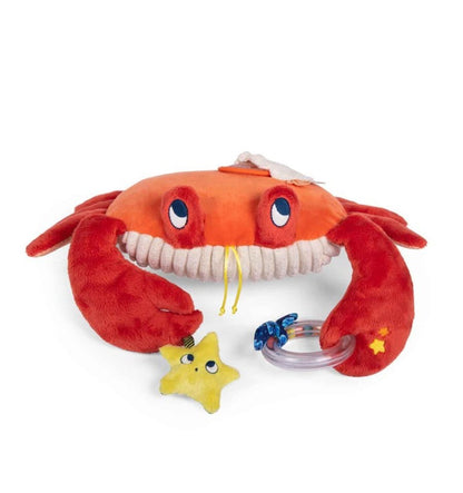 Hanging Activity Crab - Paulie's Adventures