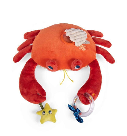 Hanging Activity Crab - Paulie's Adventures