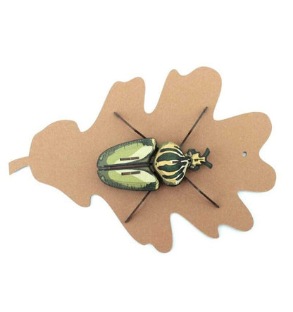 Globulus Giganticus Insect