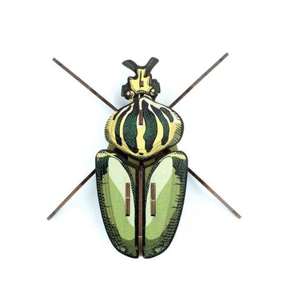 Globulus Giganticus Insect