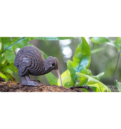 Dodoland - Eugy Kiwi Brown - 091