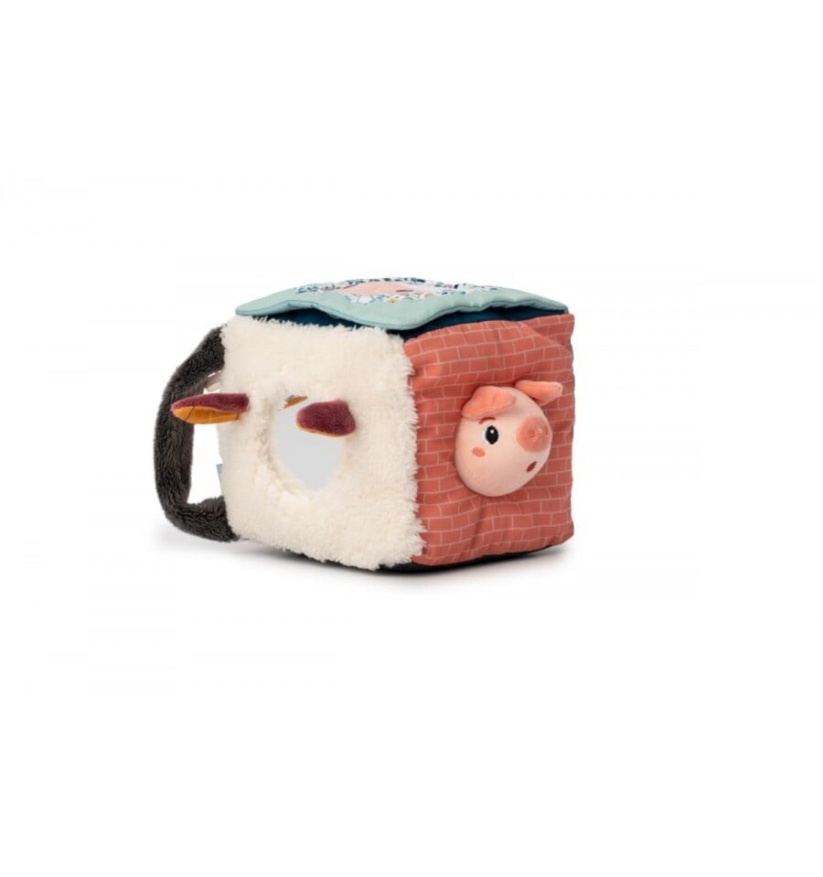 Louis the Wolf Activity Cube