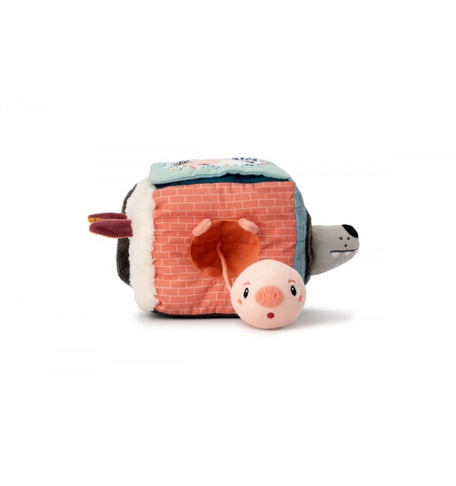 Louis the Wolf Activity Cube