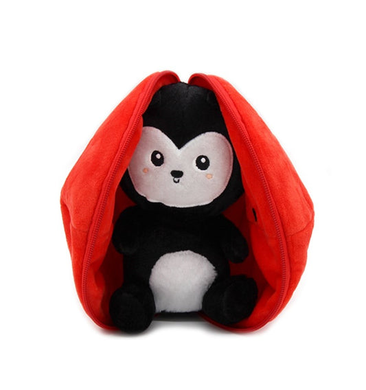 Comet, Ladybug and Tomato