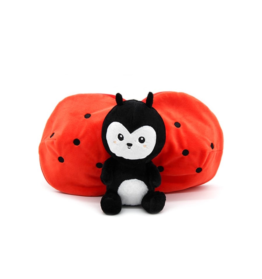 Comet, Ladybug and Tomato