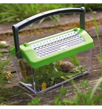 Terra Kids Caixa de Insetos