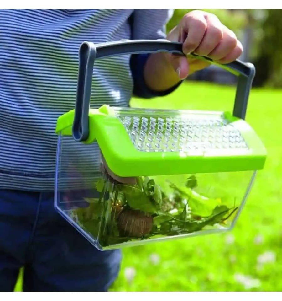 Terra Kids Caixa de Insetos