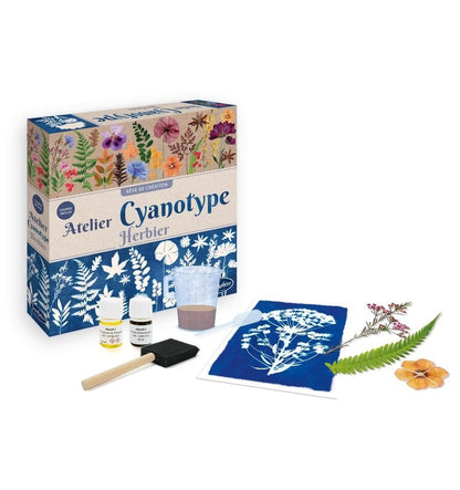 Taller de cianotipia - Herbario