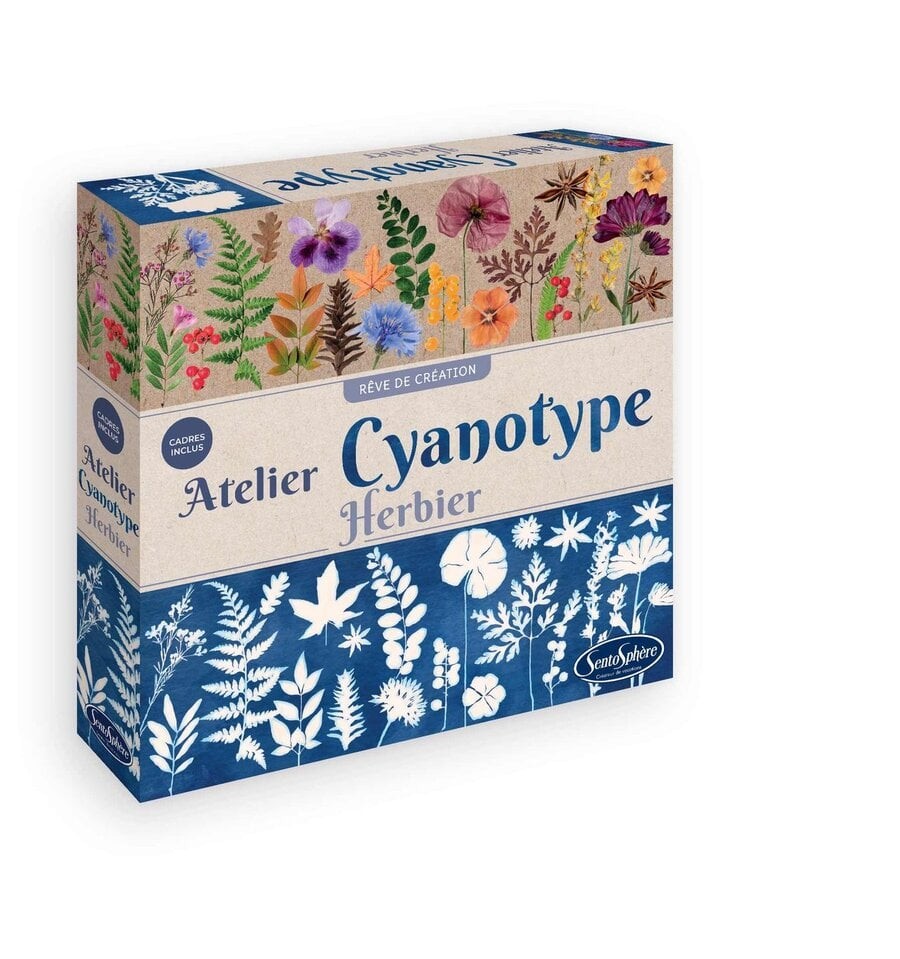 Taller de cianotipia - Herbario
