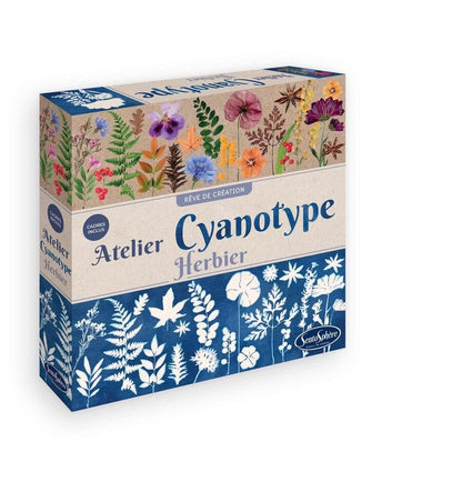 Taller de cianotipia - Herbario