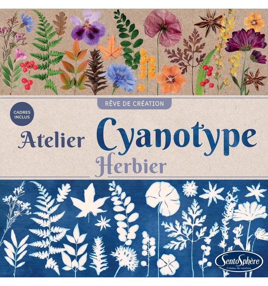 Taller de cianotipia - Herbario