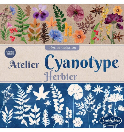 Taller de cianotipia - Herbario