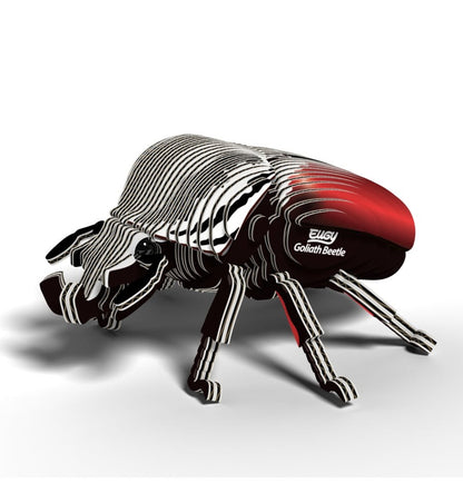 Dodoland - Eugy - Besouro Golias - 111