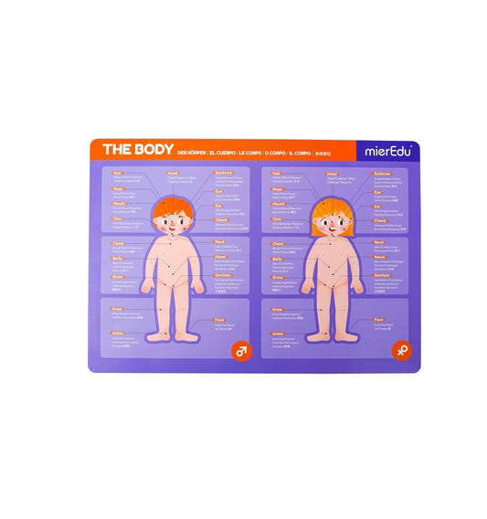 Maleta Magnética O Corpo Humano