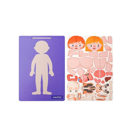 Maleta Magnética O Corpo Humano