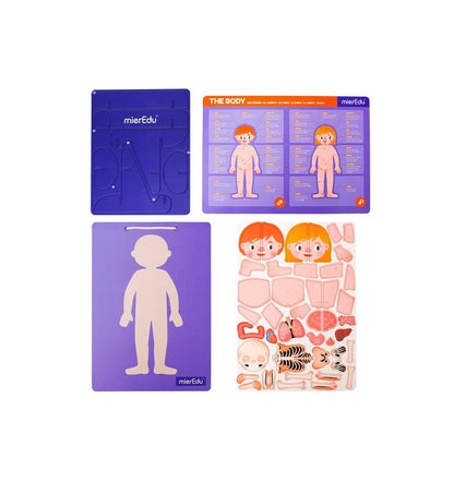 Maleta Magnética O Corpo Humano