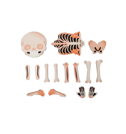 Maleta Magnética O Corpo Humano