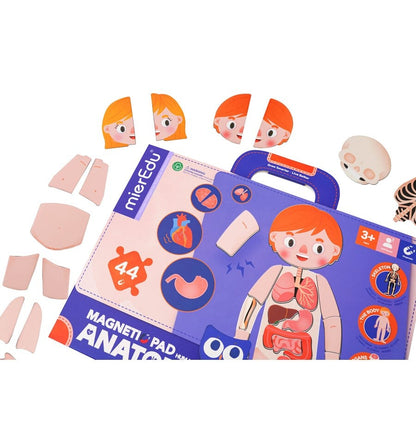 Maleta Magnética O Corpo Humano