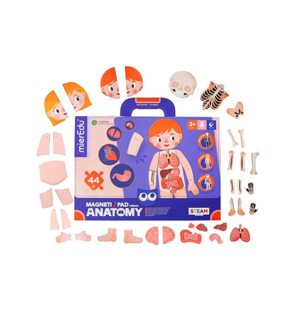 Maleta Magnética O Corpo Humano