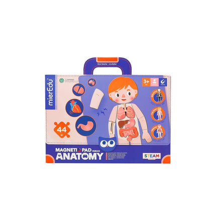 Maleta Magnética O Corpo Humano