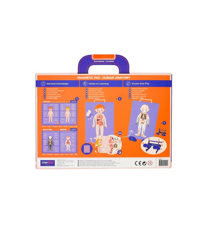 Maleta Magnética O Corpo Humano