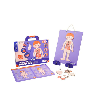 Maleta Magnética O Corpo Humano