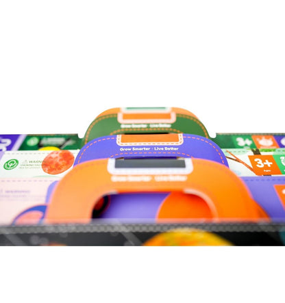 Maleta Magnética O Corpo Humano