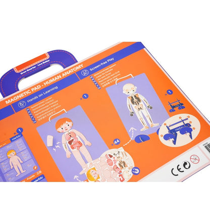 Maleta Magnética O Corpo Humano