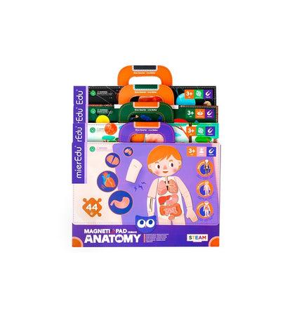 Maleta Magnética O Corpo Humano
