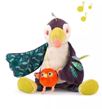 Pakou, musical toucan - In the Jungle