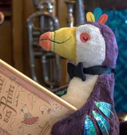 Pakou, musical toucan - In the Jungle