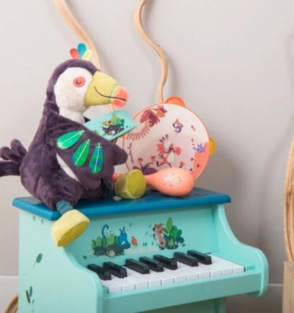 Pakou, musical toucan - In the Jungle