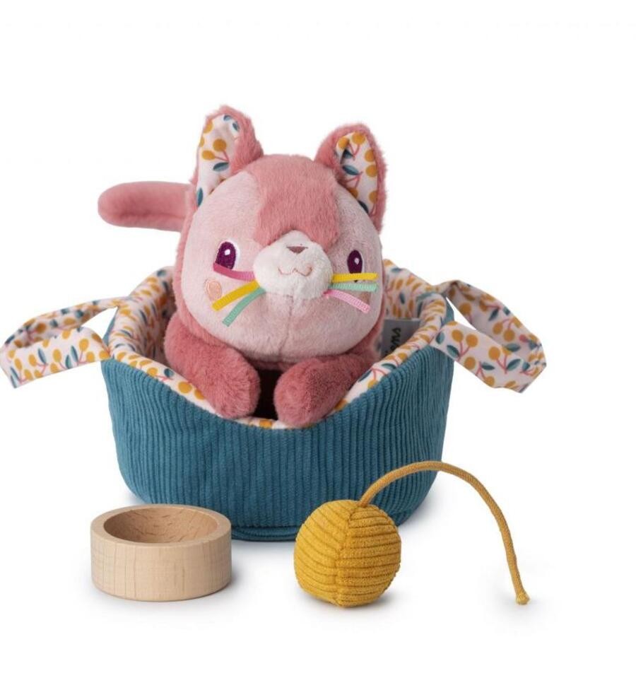 Jeanne the cat and her basket