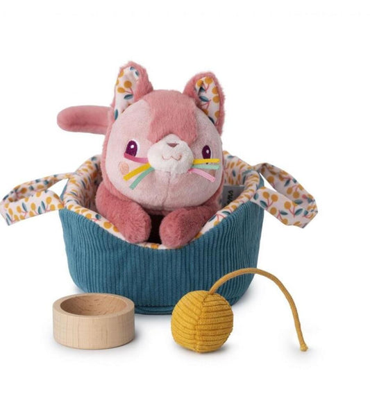 Jeanne the cat and her basket