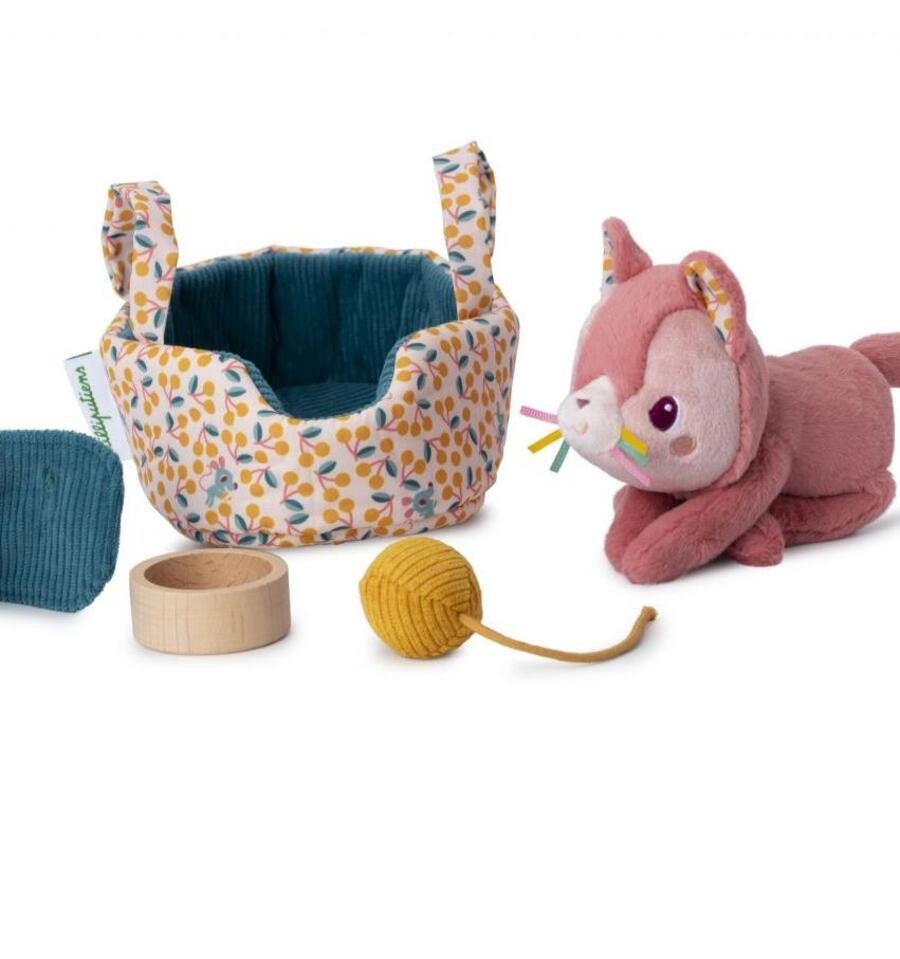 Jeanne the cat and her basket