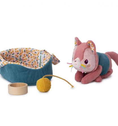 Jeanne the cat and her basket