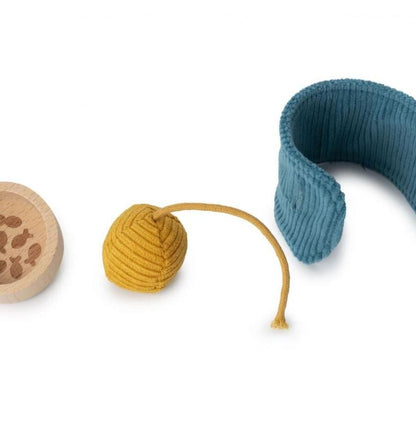 Jeanne the cat and her basket