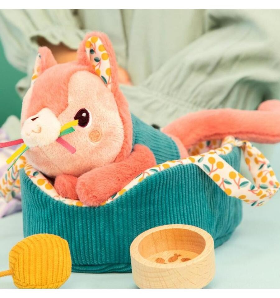 Jeanne the cat and her basket