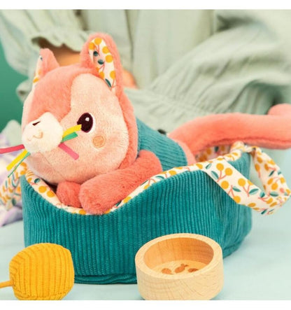 Jeanne the cat and her basket