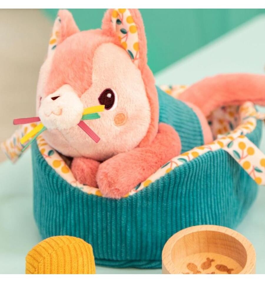 Jeanne the cat and her basket