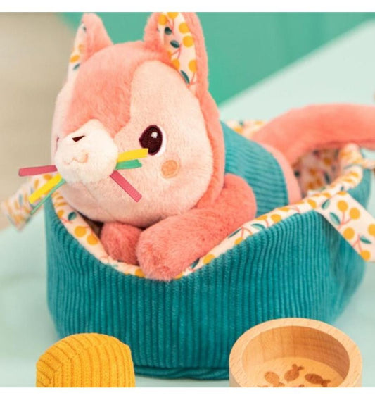 Jeanne the cat and her basket