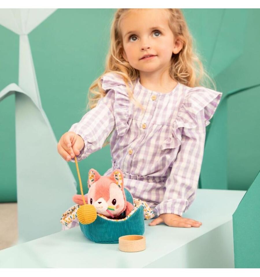 Jeanne the cat and her basket