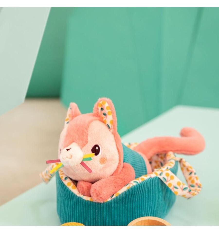 Jeanne the cat and her basket