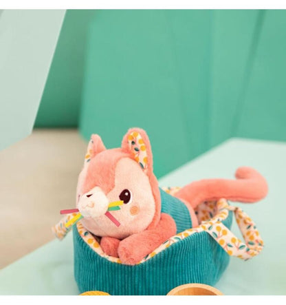 Jeanne the cat and her basket