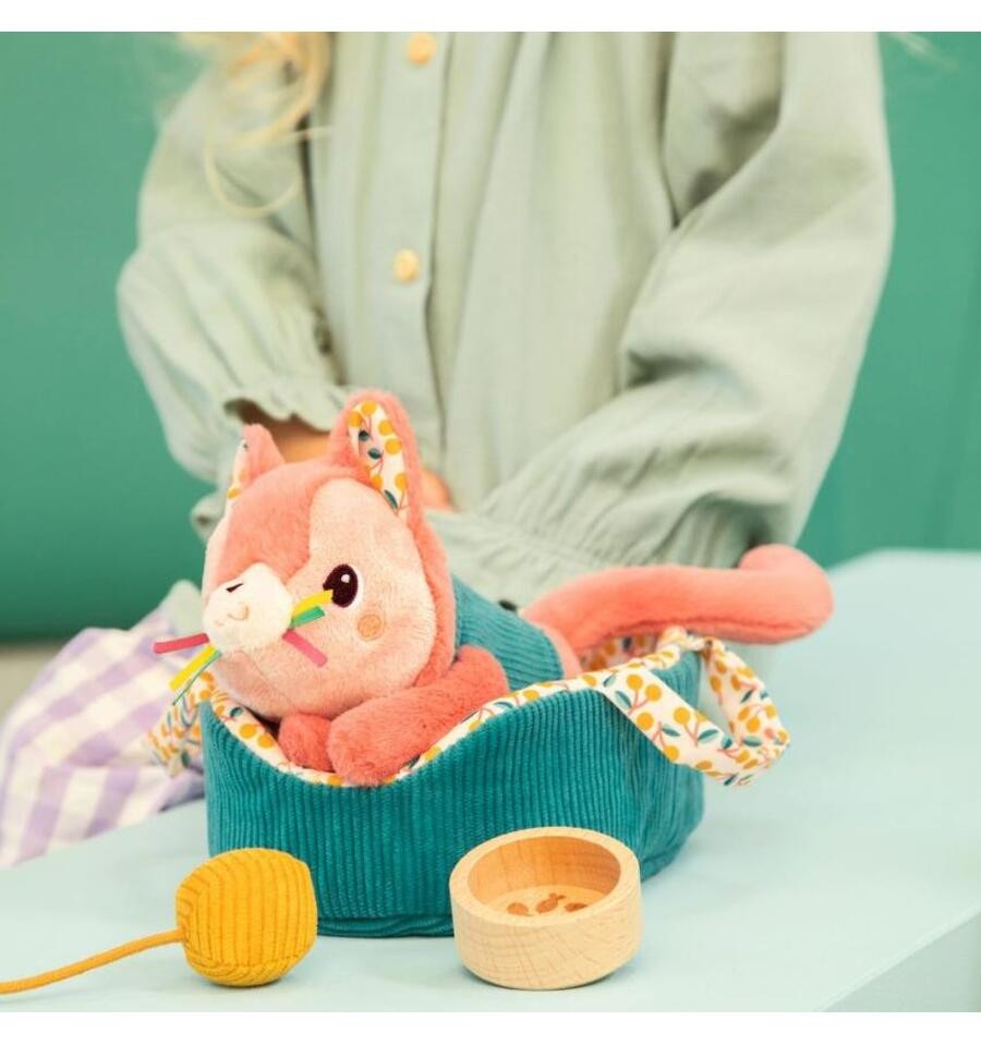 Jeanne the cat and her basket