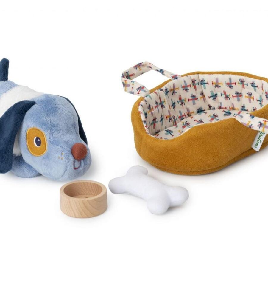 Jules the dog and his basket