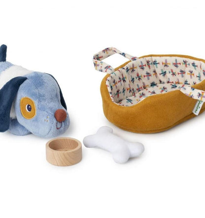 Jules the dog and his basket