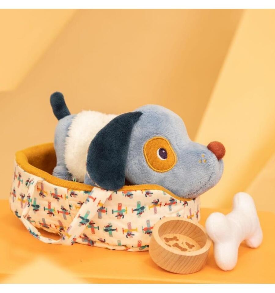 Jules the dog and his basket