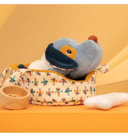 Jules the dog and his basket